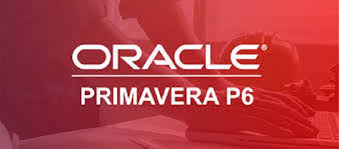Primavera Training in Pune, Mumbai, Maharashtra