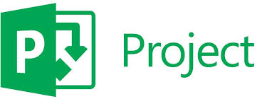 Top Microsoft Project Training Institute in Maharashtra